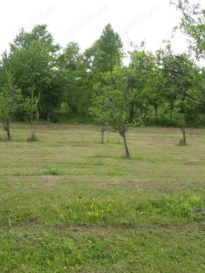 Teren de 20000 mp, în Rădulești