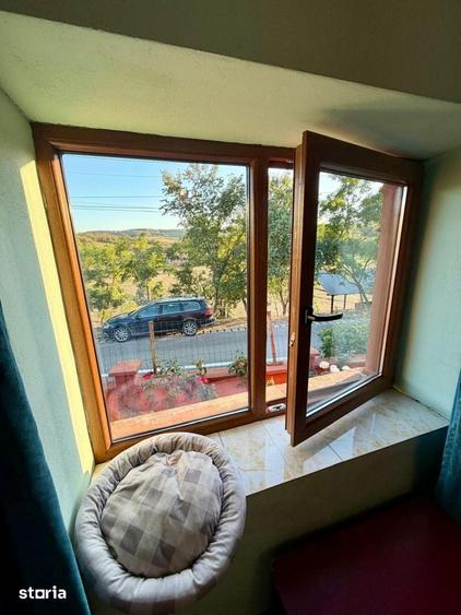 Casă cu 4 camere cu Teren 1620 Mp în Sârbi