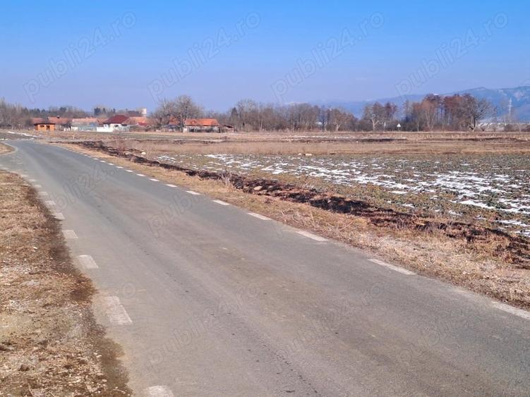 Teren de 3800 mp, în Păclișa
