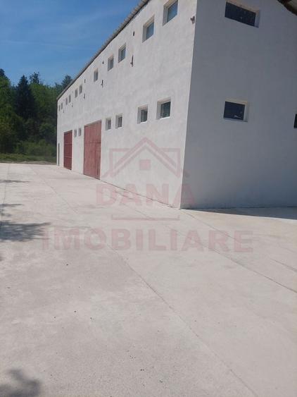 Spațiu industrial, de 150 mp, în Băuțar