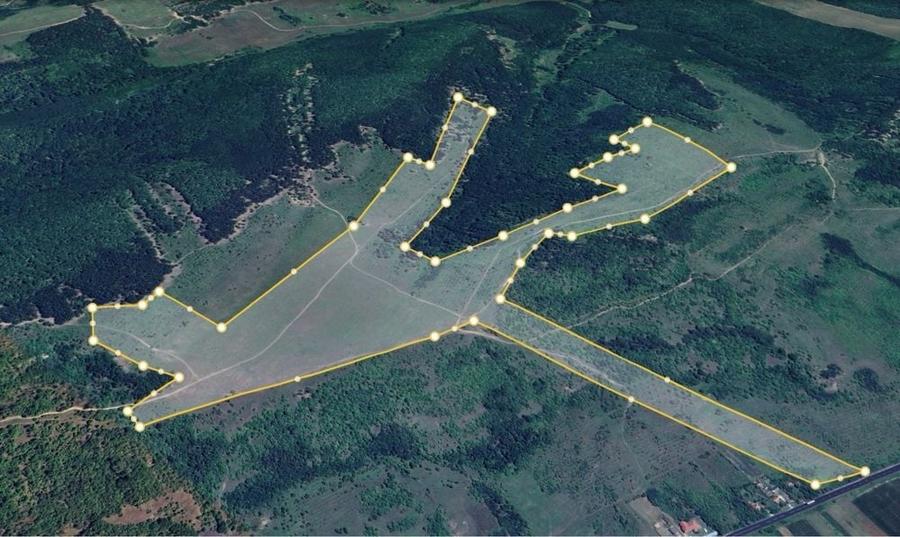 48 Hectare Prunisor Mehedintii - 3
