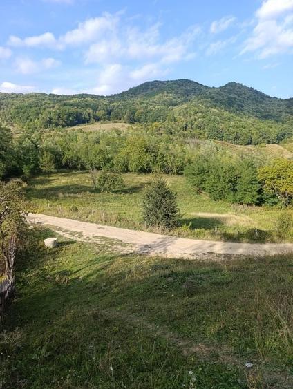 Teren de 4400 mp, în Poșta Câlnău