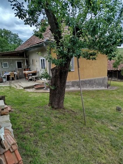 Casă cu 2 camere în Mociu
