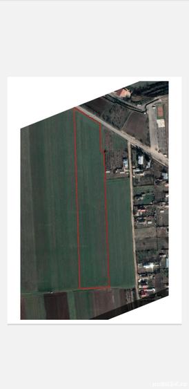 Teren de 31500 mp, în Gruiu