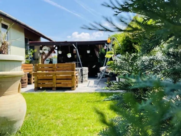 Casa pet friendly de inchiriat Sacalaz Timis - 4