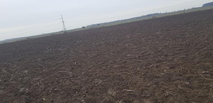 Teren de 3059 mp, în Măgurele