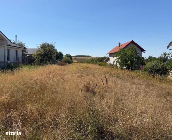 Spațiu comercial, în Viile Satu Mare