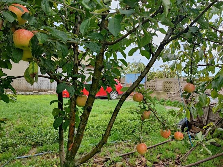 Casă în Zebil