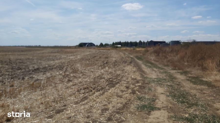 Teren de 280000 mp, în Balotești