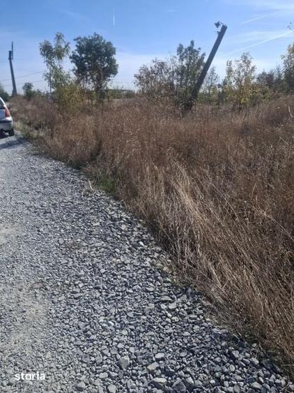 Teren de 235 mp, în Zimandu Nou