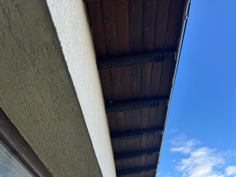 Duplex cu 10 camere cu Teren 2166 Mp în Clinceni