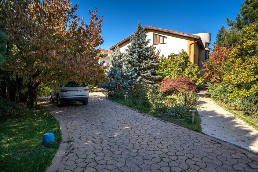 Casă individuală cu 17 camere cu Piscina în Chiajna