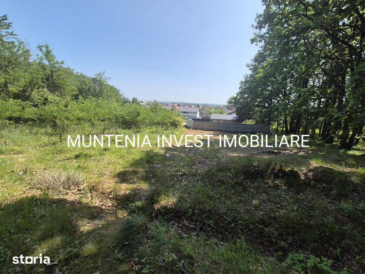 Teren de 1059 mp, în Moșoaia