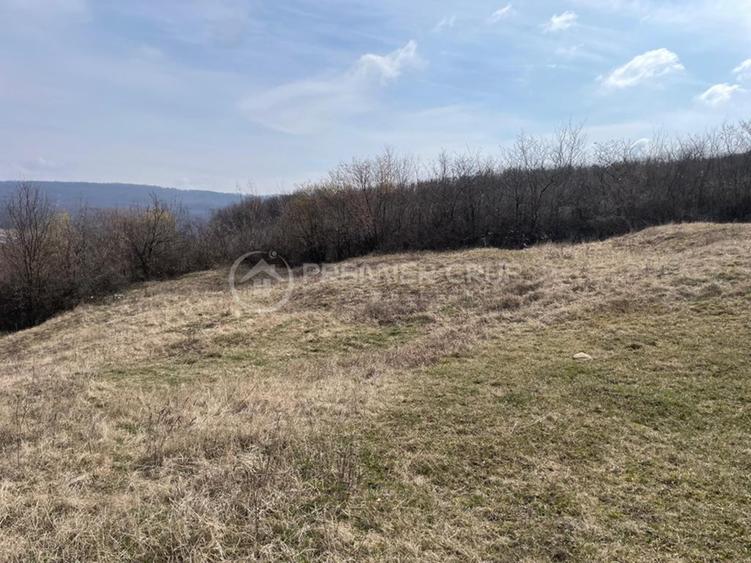 Teren Construcții intravilan de 11300 mp, în Bârnova