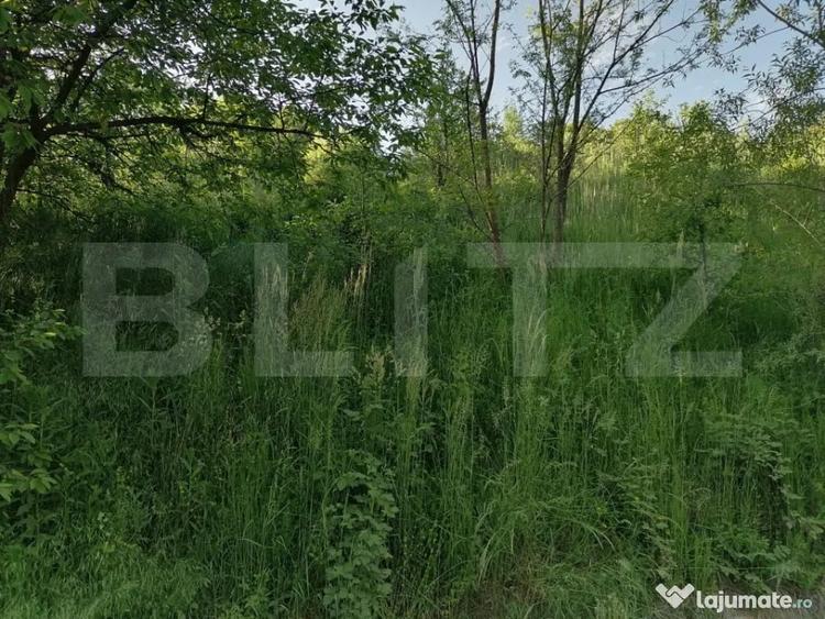 Teren de 14400 mp, în Gemenea-Brătulești