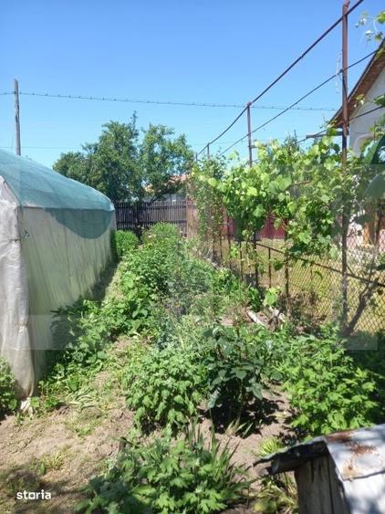 Casa din caramida cu teren urias 6.116 mp Verguleasa (Olt) - 4