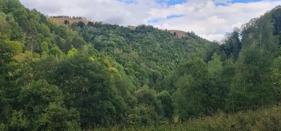 Teren în Muntele Săcelului