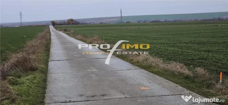 Plaja Corbu-Teren 4200mp. la numai 8 euro /mp. Soseaua asfal - 1