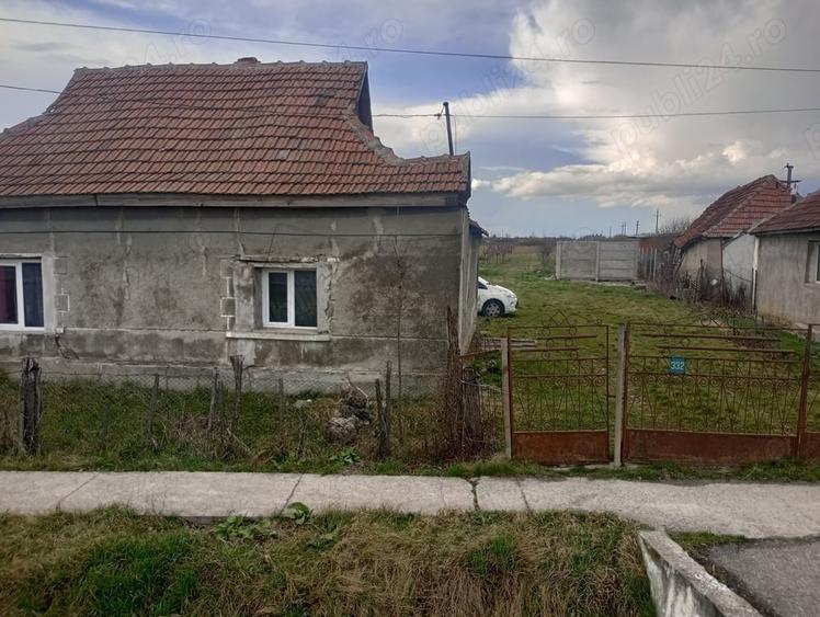 Teren de 42 mp, în Ciuperceni
