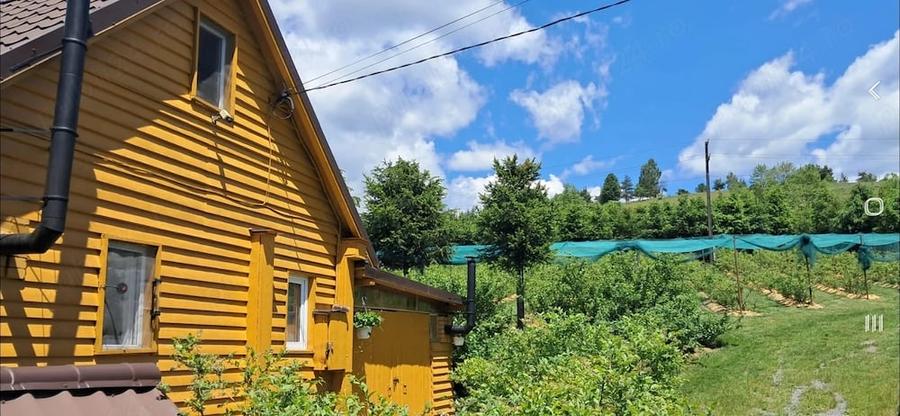 Casă cu Teren 3600 Mp în Călimănel
