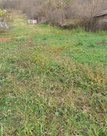Teren de 1400 mp, în Budeasa