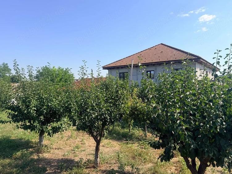 Casa P+1+M cu 3.500 m teren, livada ?i dependin?a locuibila Casicea, jud. Constan?a - 3
