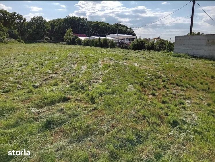 Teren de 3300 mp, în Centura