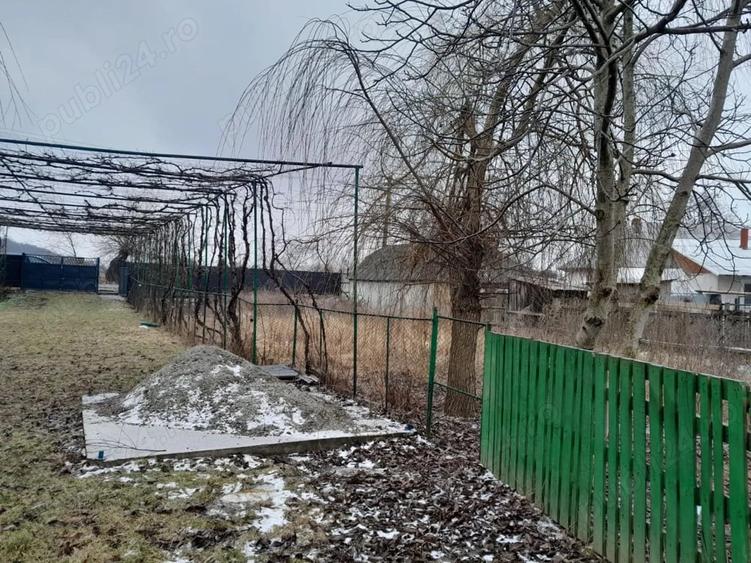 Casa + teren 5000 mp, Podoleni, Neam? - 3