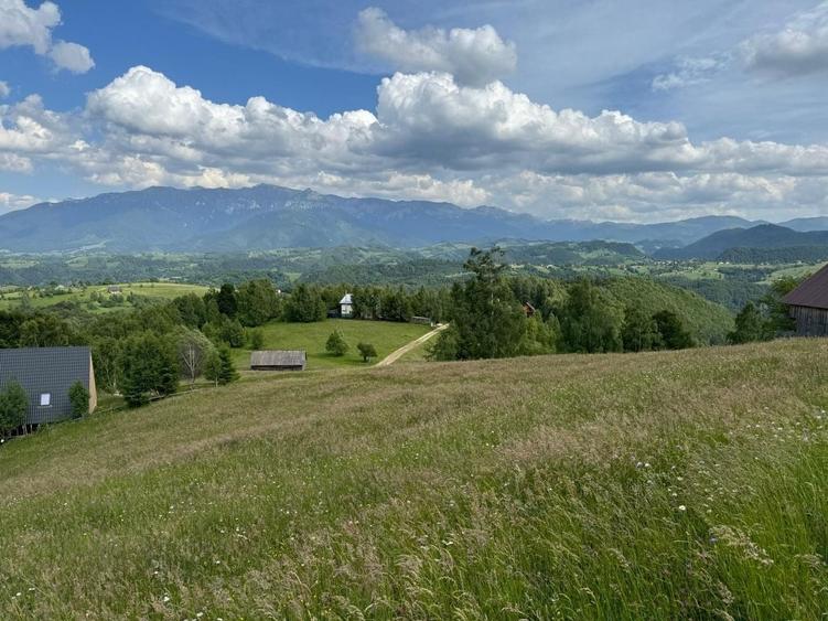 Teren Construcții extravilan de 5392 mp, în Peștera