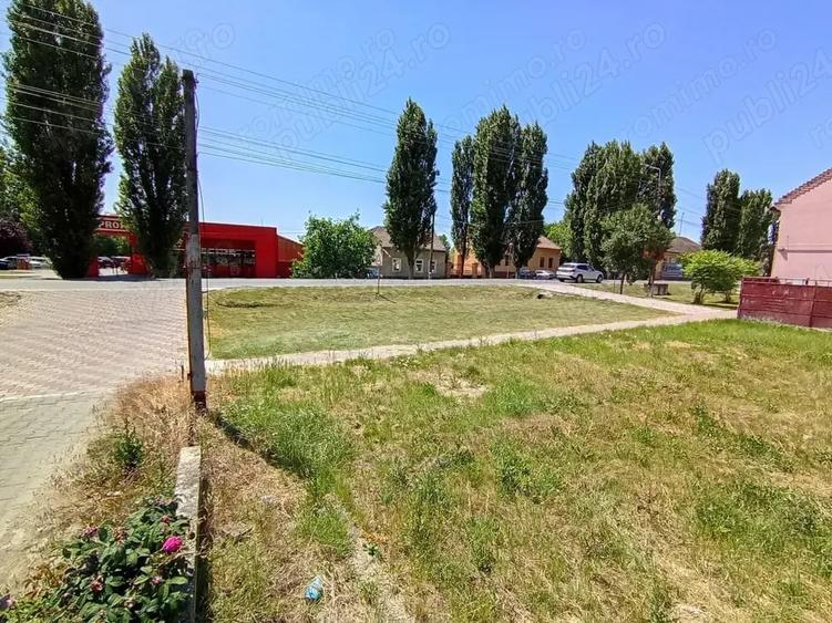 Teren de 2500 mp, în Sânandrei