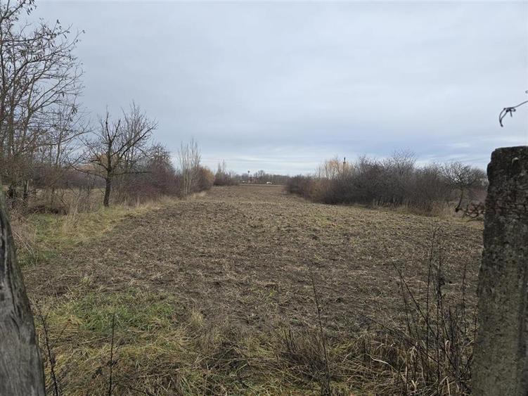 Casă individuală cu 3 camere cu Teren 7900 Mp în Boiu
