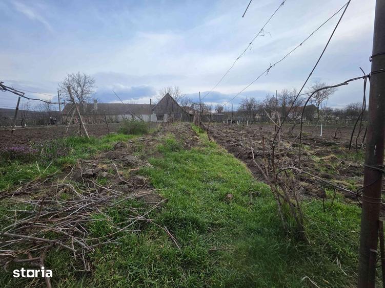 Casă cu 4 camere cu Teren 800 Mp în Câlnic