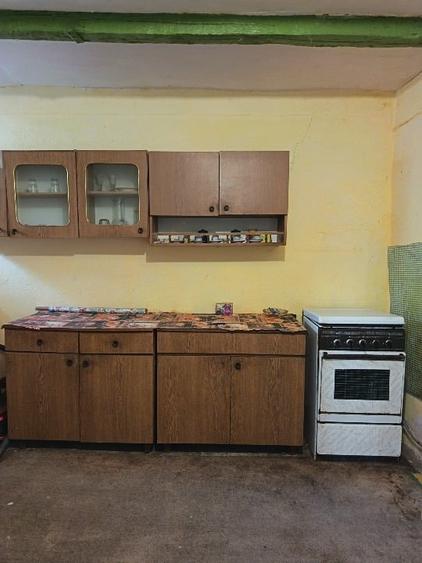 Casă individuală cu 4 camere cu Teren 1924 Mp în Susag