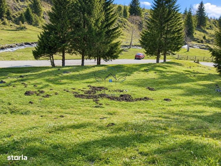 1100mp cu vedere spre Piatra Craiului, Plaiul Foii, Zarnesti - 2