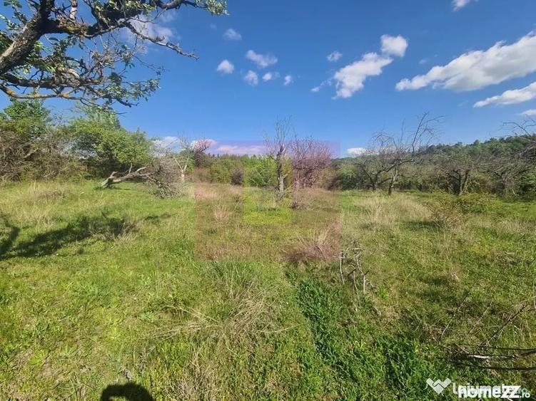 Teren de 2500 mp, în Voila