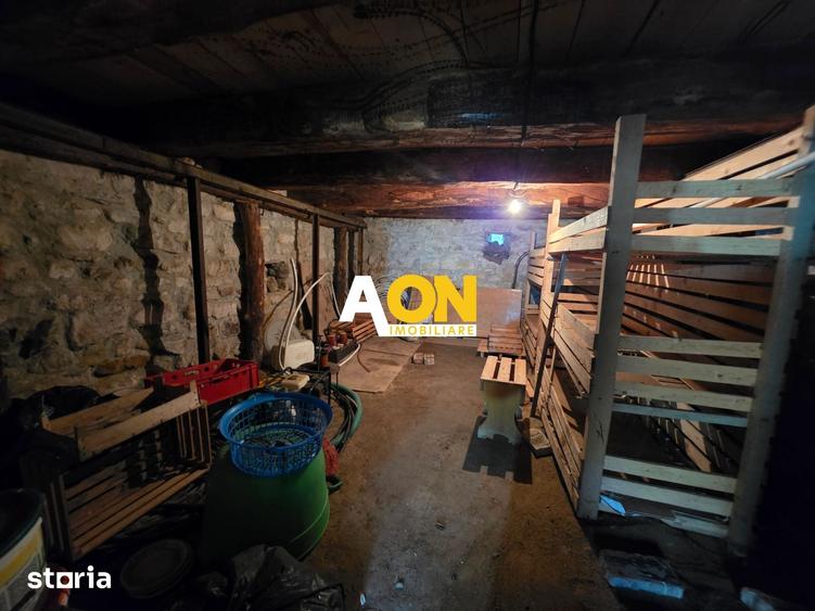 Casă cu 3 camere cu Teren 7050 Mp în Pianu
