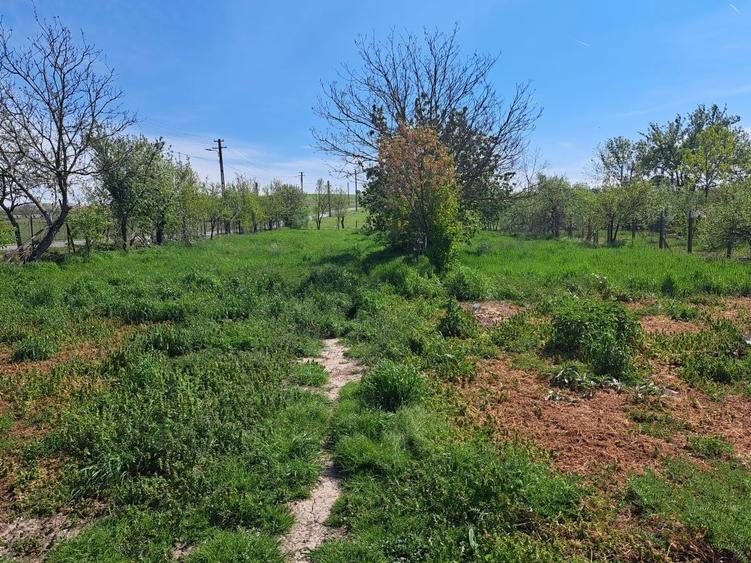 Casă cu 4 camere în Târgoviște