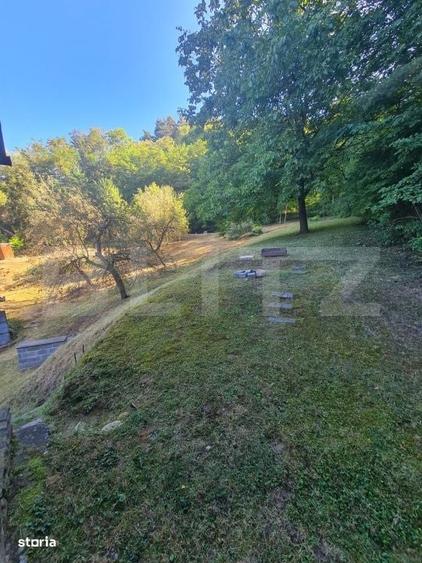Casa individuala cu 4 camere, 2400 mp de teren, loc Micesti - 16