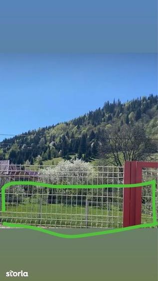 Teren de 1000 mp, în Ceahlău