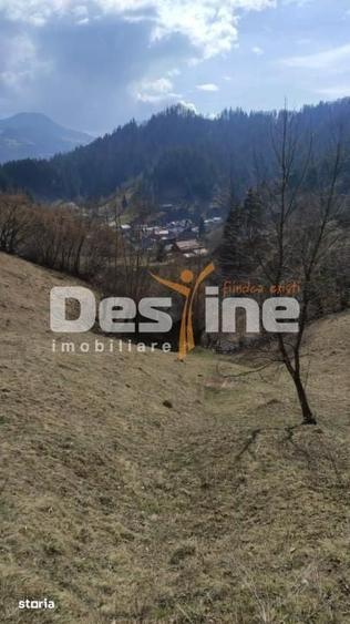 Teren de 5000 mp, în Șinca