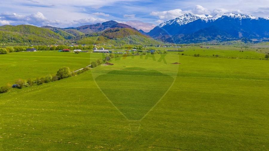 Teren agricol extravilan de 3000 mp, în Pănicel