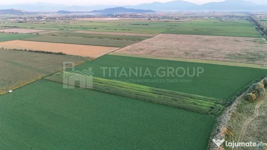 Teren extravilan, 8700 mp, pretabil agricultura sau inve... - 3