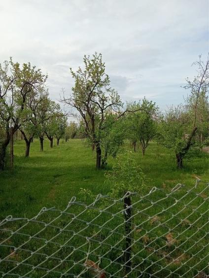 Casă cu 3 camere în Suseni