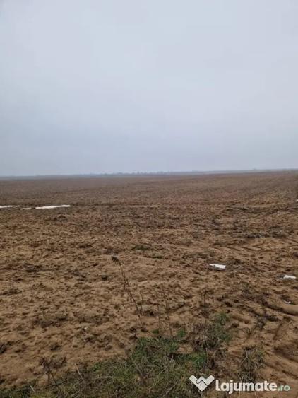 Teren de 2500 mp, în Malu Mare