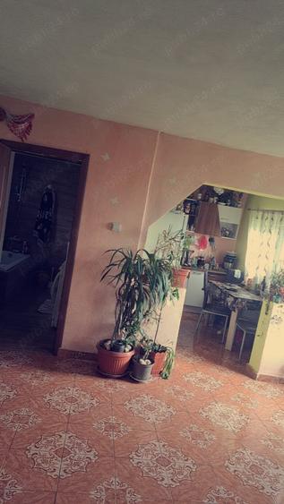 Casă cu 2 camere cu Teren 12400 Mp în Sărăuad