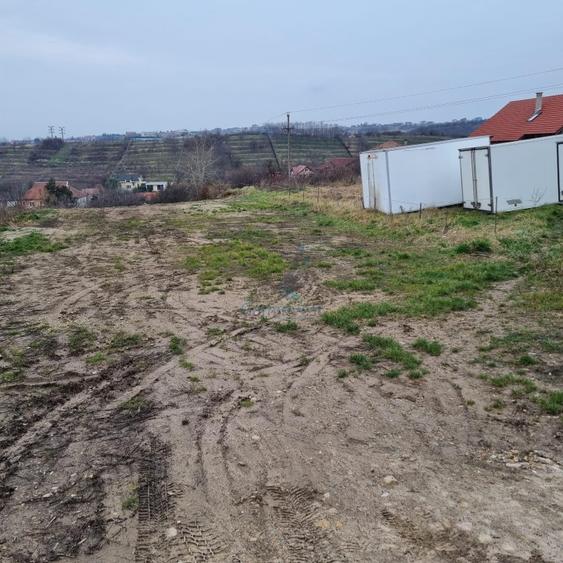 Teren Construcții intravilan de 3133 mp, în Cantemir