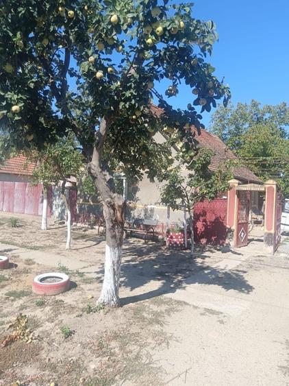 Casă cu 3 camere în Șomoșcheș