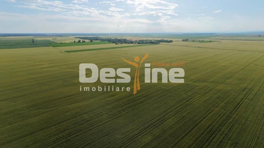 Teren agricol extravilan de 41225 mp, în Dumbrava