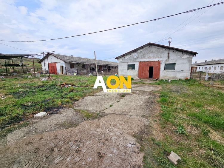 Spațiu industrial, de 1,400 mp, în Lunca Mureșului
