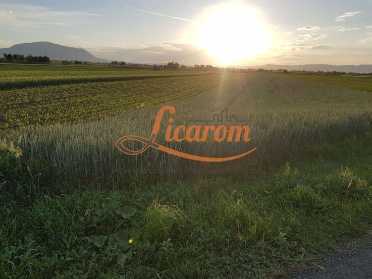 Teren Construcții intravilan de 4600 mp, în Stupini